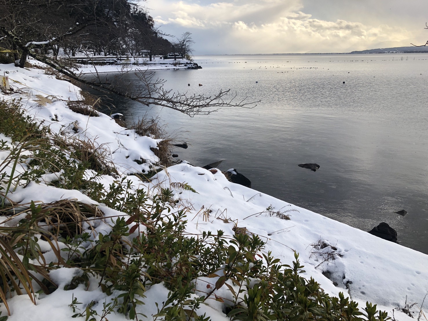 15時 海津大崎 湖岸道路は除雪されています Brush ブラッシュ 琵琶湖 バスフィッシング情報 釣果 動画 ムービー満載 15時 海津大崎 湖岸道路は除雪されています Brush ブラッシュ 琵琶湖 バスフィッシング情報 釣果 動画 ムービー満載