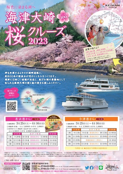 海津大崎桜クルーズ2023 | BRUSH（ブラッシュ） 琵琶湖 バス