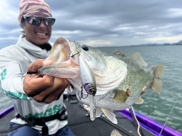 テーマを絞って楽しんでみる／おくむらさとし | BRUSH（ブラッシュ