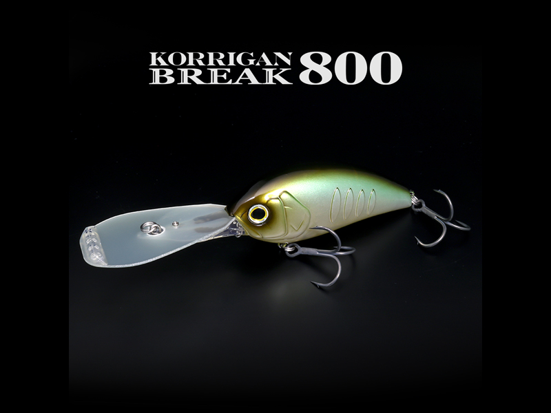 コリガンブレイク800 | BRUSH（ブラッシュ） 琵琶湖 バス