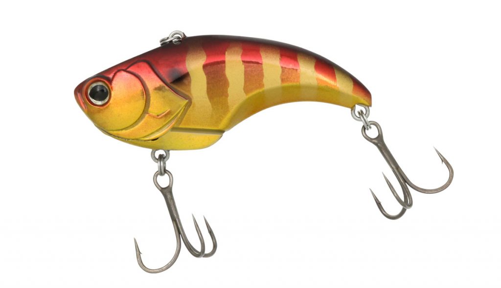 EVOKE VIB | BRUSH（ブラッシュ） 琵琶湖 バスフィッシング情報、釣果